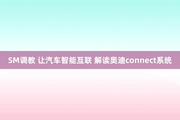 SM调教 让汽车智能互联 解读奥迪connect系统