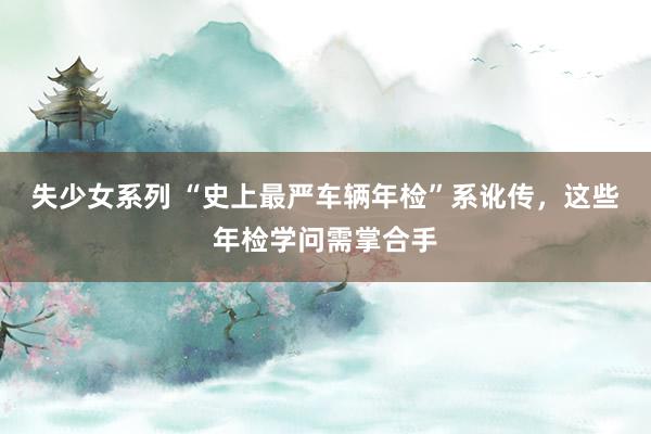 失少女系列 “史上最严车辆年检”系讹传，这些年检学问需掌合手