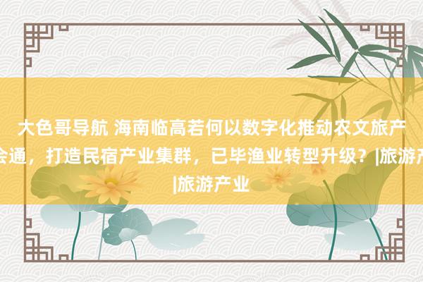 大色哥导航 海南临高若何以数字化推动农文旅产业会通，打造民宿产业集群，已毕渔业转型升级？|旅游产业