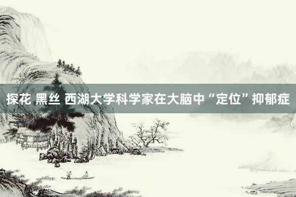 探花 黑丝 西湖大学科学家在大脑中“定位”抑郁症