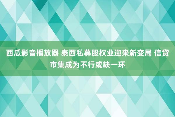 西瓜影音播放器 泰西私募股权业迎来新变局 信贷市集成为不行或缺一环