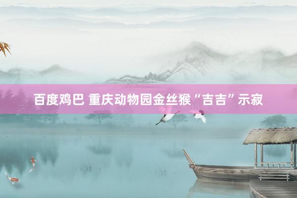 百度鸡巴 重庆动物园金丝猴“吉吉”示寂