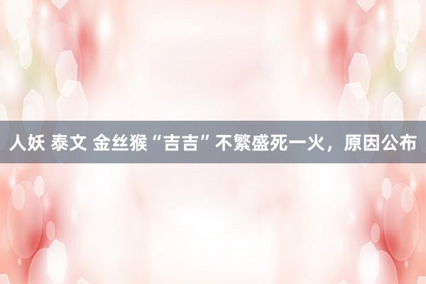 人妖 泰文 金丝猴“吉吉”不繁盛死一火，原因公布