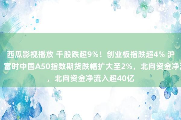 西瓜影视播放 千股跌超9%！创业板指跌超4% 沪指跌超3%，富时中国A50指数期货跌幅扩大至2%，北向资金净流入超40亿