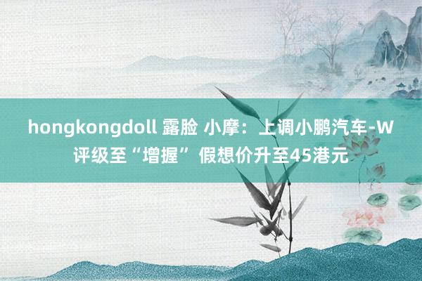 hongkongdoll 露脸 小摩：上调小鹏汽车-W评级至“增握” 假想价升至45港元
