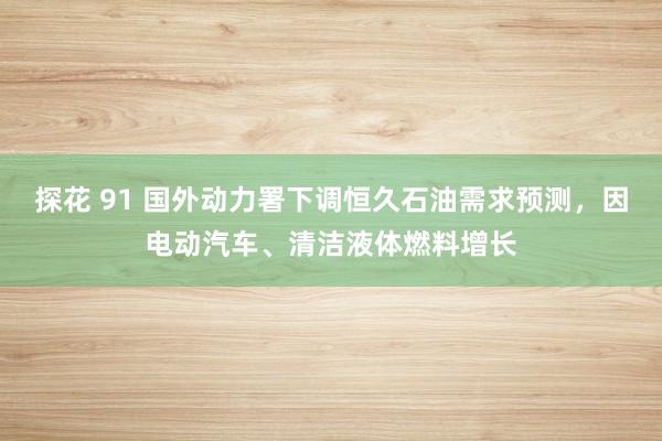 探花 91 国外动力署下调恒久石油需求预测，因电动汽车、清洁液体燃料增长