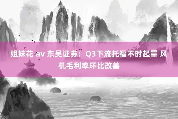 姐妹花 av 东吴证券：Q3下流托福不时起量 风机毛利率环比改善