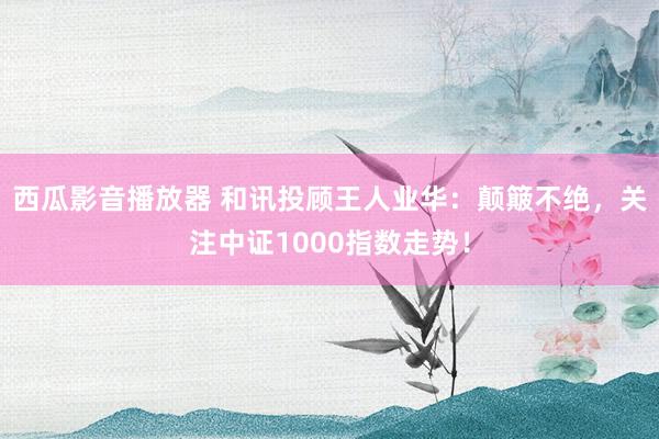 西瓜影音播放器 和讯投顾王人业华：颠簸不绝，关注中证1000指数走势！