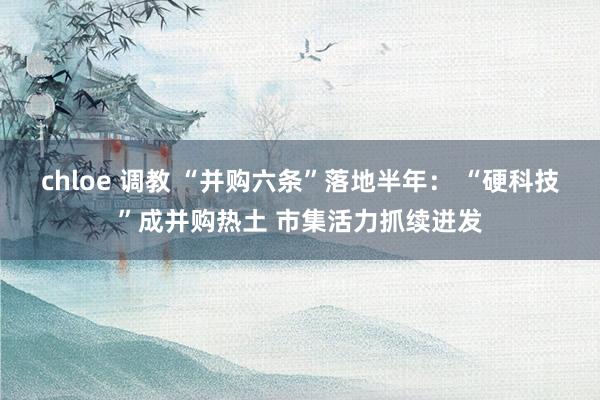 chloe 调教 “并购六条”落地半年： “硬科技”成并购热土 市集活力抓续迸发